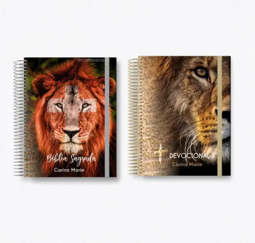 Caderno Leão De Judá