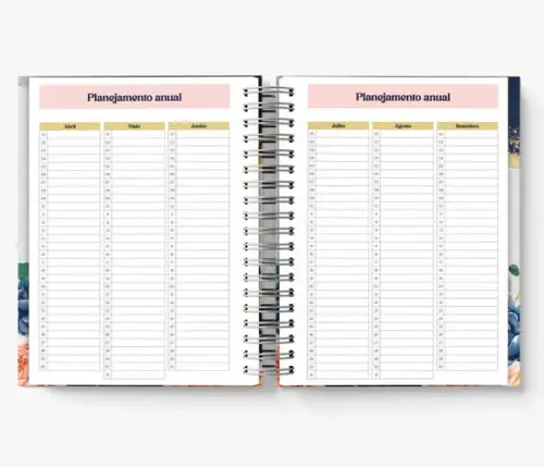 Planner 2024 Nossa Senhora Aparecida