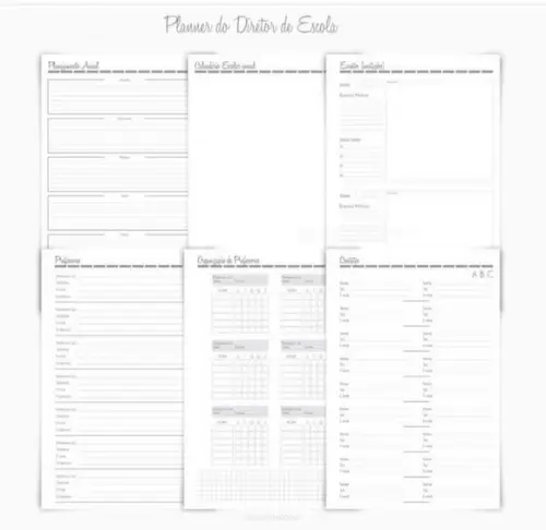Planner da Diretora (o)