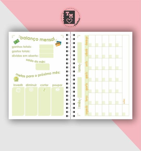 Planner Controle Financeiro 2 - Miolo Arquivo Digital