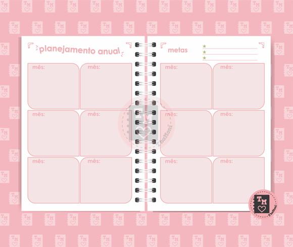 Planner Controle Financeiro 2 Rosa - Miolo Arquivo Digital