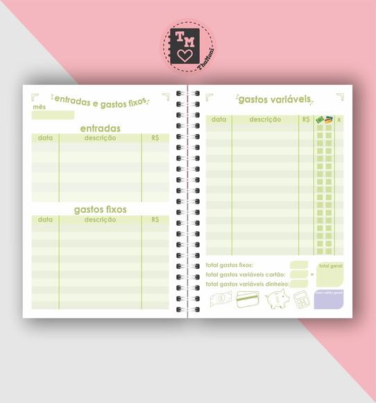 Planner Controle Financeiro 2 - Miolo Arquivo Digital