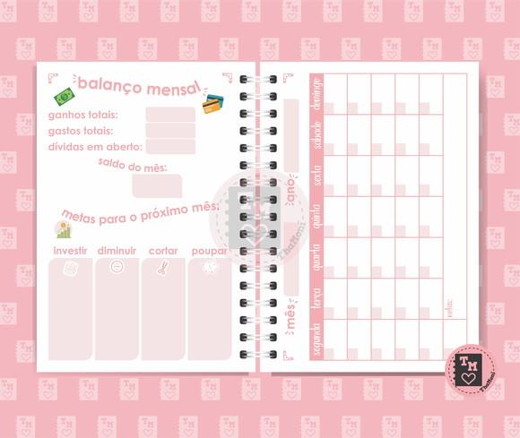 Planner Controle Financeiro 2 Rosa - Miolo Arquivo Digital