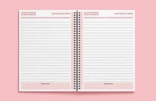Caderno Rosa - Miolo em Arquivo Digital