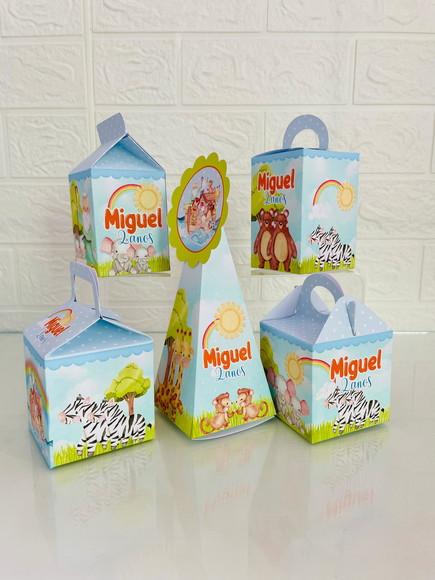 20 Caixas Arca de Noé - Pegue e Monte