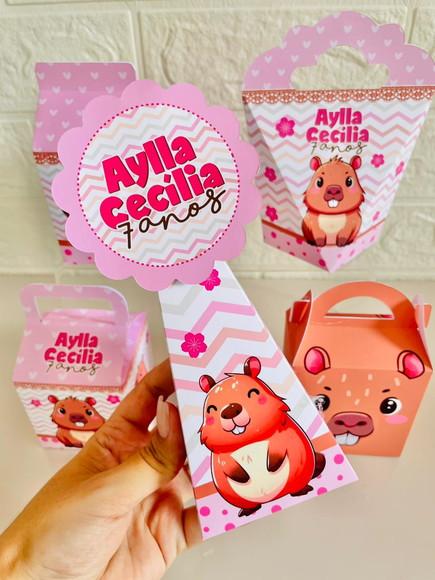 Kit 30 Caixas Capivara - Pegue e Monte