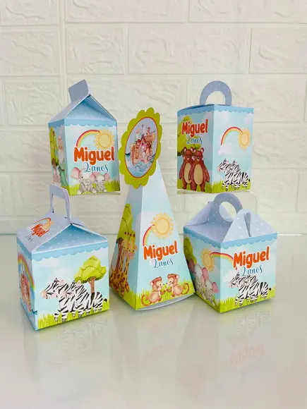 20 Caixas Arca de Noé - Pegue e Monte