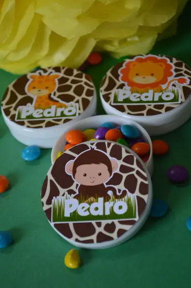 10 Latinhas Safari Personalizada