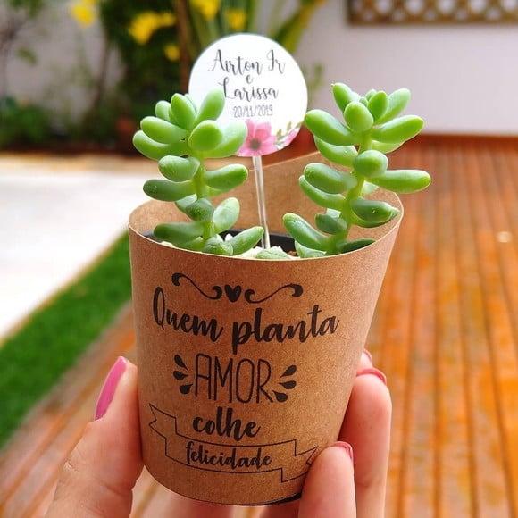 Rótulo (saia) + Tag para Mini Suculenta