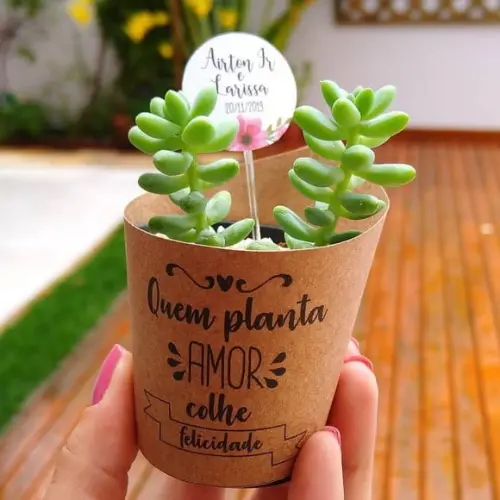 Rótulo (saia) + Tag para Mini Suculenta