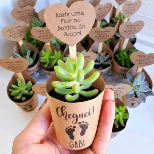 Rótulo (saia) + Tag para Mini Suculenta