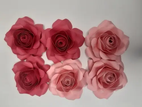 Rosa de Papel