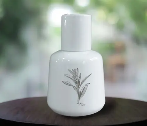 Moringa Personalizada de Porcelana de 500ml - 12 Unidades