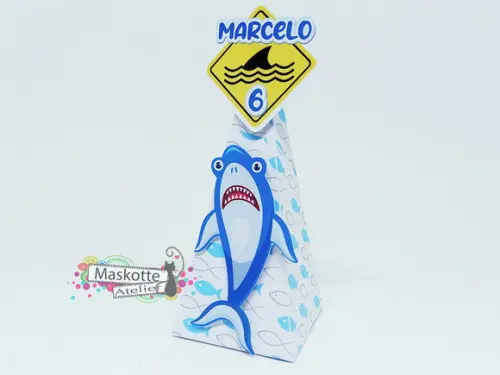 Cone Tubarão