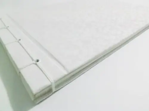 Livro de assinatura para foto na capa