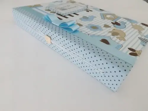 Livro/Diário do bebê azul para menino