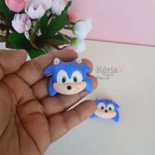 Aplique Rostinho Sonic Biscuit