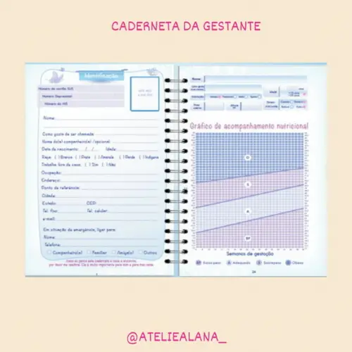 Caderneta da Gestante
