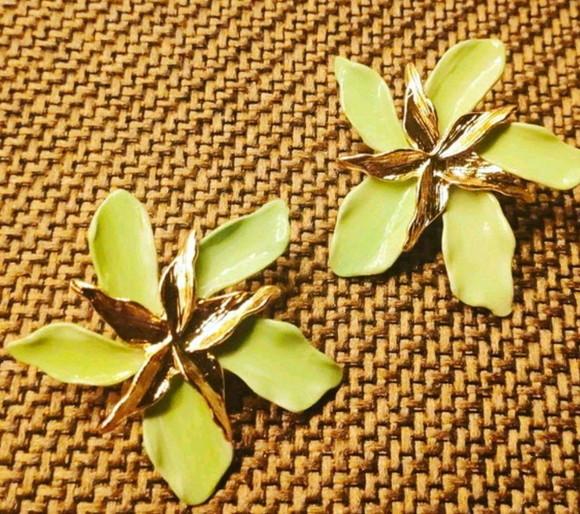 Brinco Esmaltado Orquídea Cores