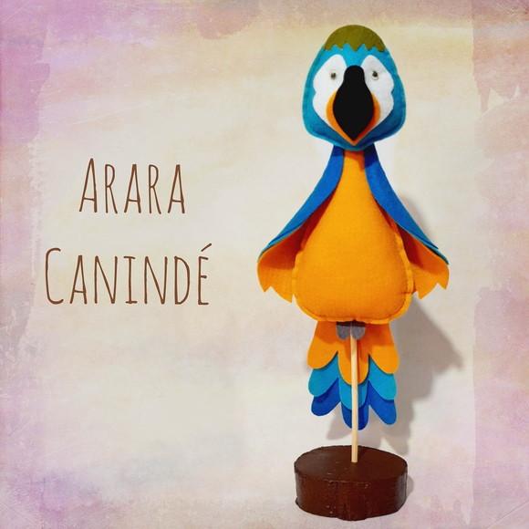 Arara-canindé em Feltro