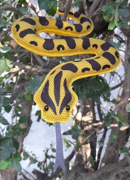 Sucuri-amarela em Feltro