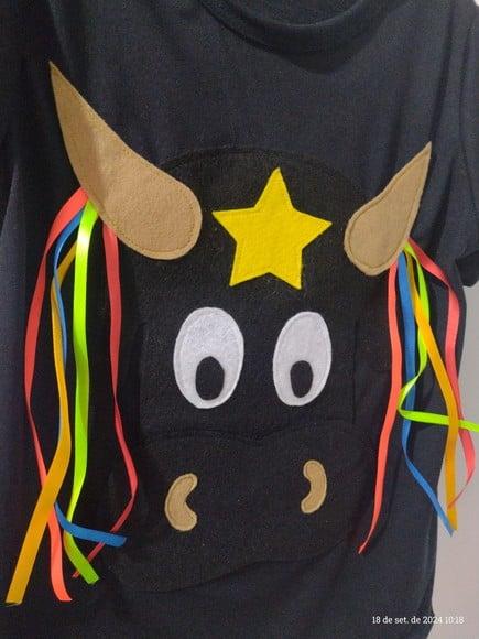 Camisa Bumba Meu Boi Folclore Boi Bumba