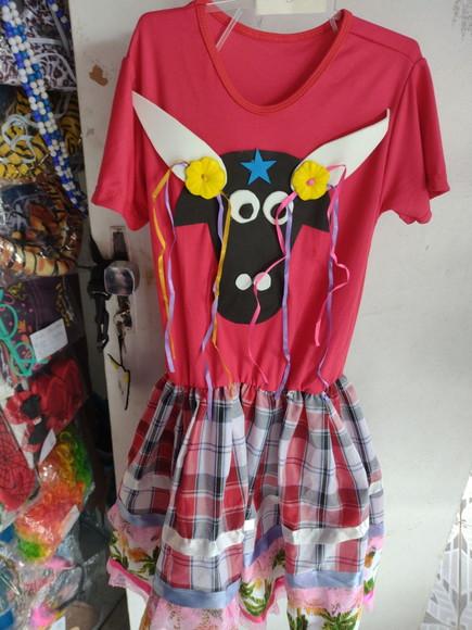 Fantasia Bumba Meu Boi Folclore