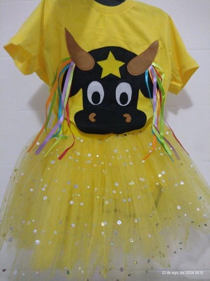 Fantasia Bumba Meu Boi Folclore Rosa Completo