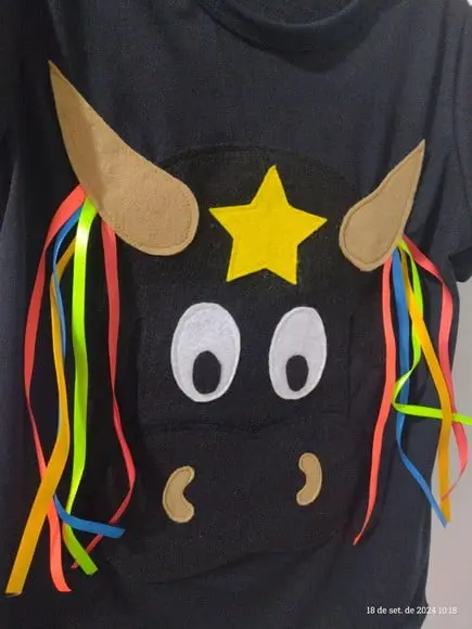 Camisa Bumba Meu Boi Folclore Boi Bumba