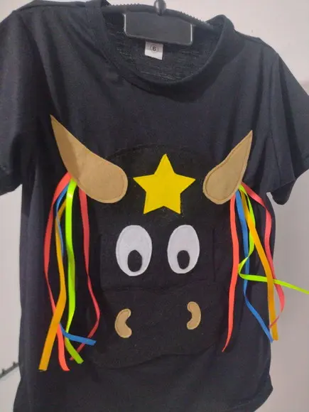 Camisa Bumba Meu Boi Folclore Boi Bumba