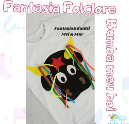 Fantasia Bumba Meu Boi Folclore