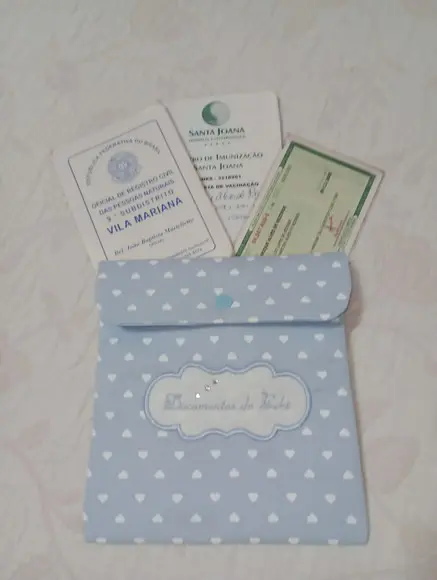 Porta Documentos do Bebê
