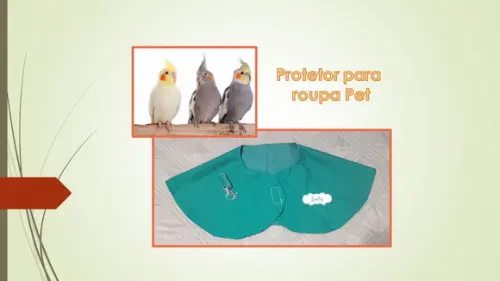 Protetor de Roupa - para Passear com Seu Pássaro