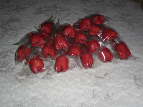 Tulipas