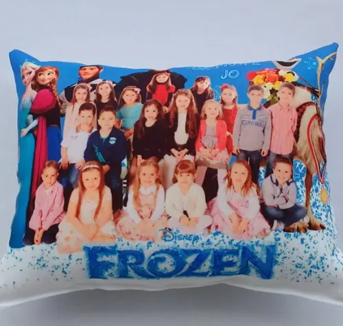 Almofadas 20X30 Personalizadas frozen