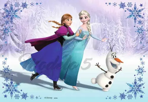 Almofadas 20x30 Tema Frozen