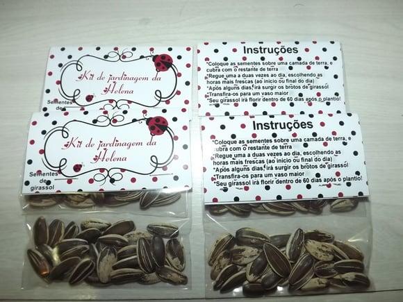 Kit Jardinagem Joaninha