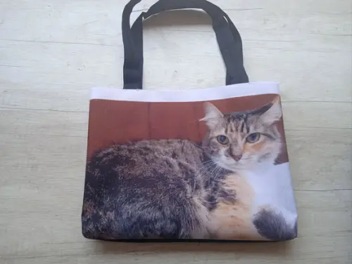 Bolsinhas Personalizadas vários temas