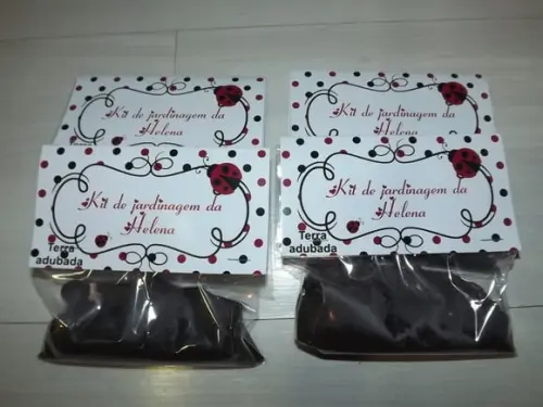 Kit Jardinagem Joaninha