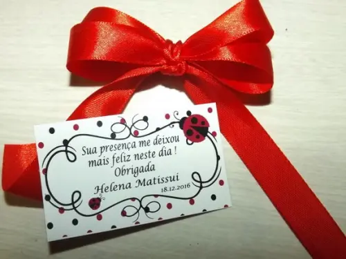 Kit Jardinagem Joaninha