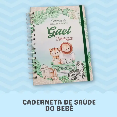 Cadernetas de Saúde do Bebê