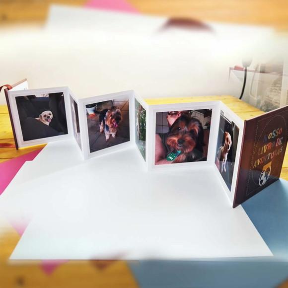 Álbum Sanfonado com Foto Personalizado