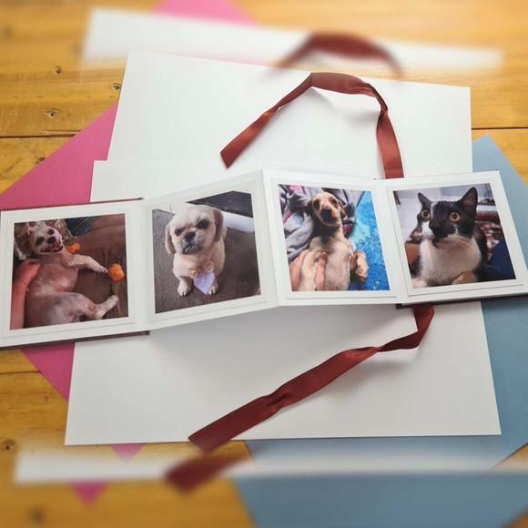 Álbum Sanfonado com Foto Personalizado