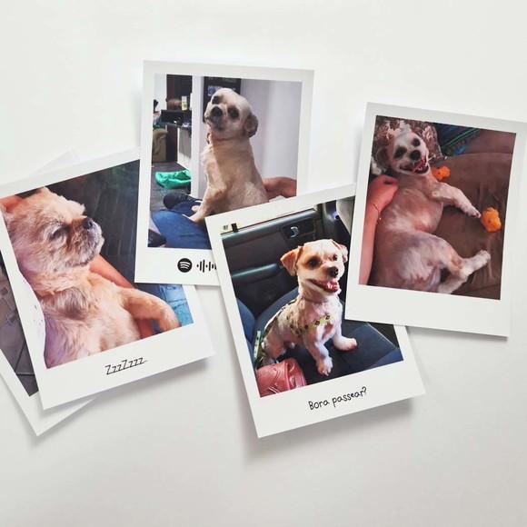 Foto Estilo Polaroid com Imã