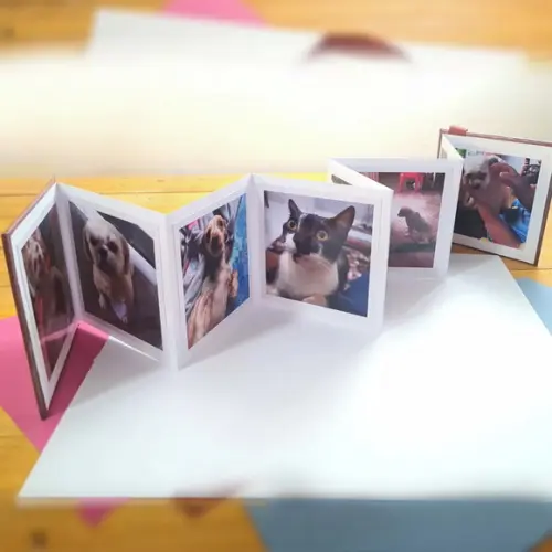 Álbum Sanfonado com Foto Personalizado