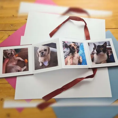 Álbum Sanfonado com Foto Personalizado