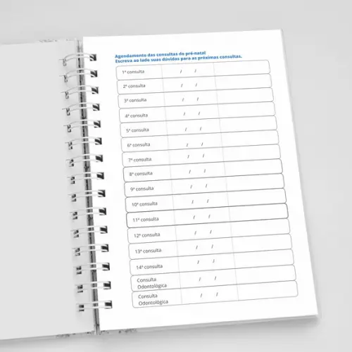 Caderneta da Gestante - Rosê
