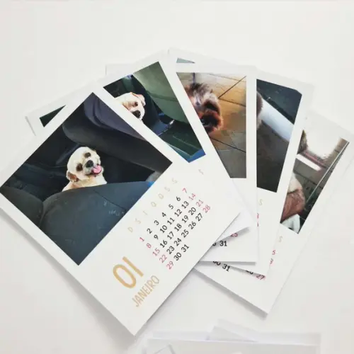 Calendário Estilo Polaroid com Imã