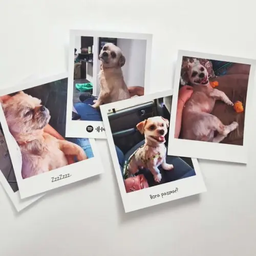 Foto Estilo Polaroid Personalizada