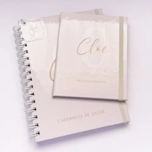 Kit Caderneta de Vacinas + Porta Documentos Dinossauro